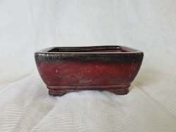 6 inch Deep Bonsai pot