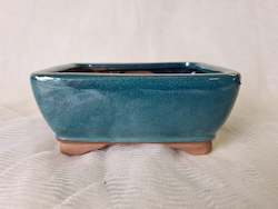 6 inch Deep Bonsai pot