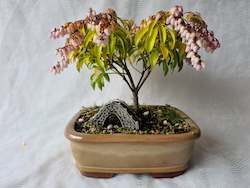 Bonsai Figurines