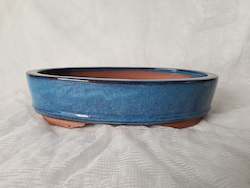 Premium Bonsai Pot