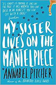 My Sister Lives on the Mantelpiece by Annabel Pitcher – Learning Contracts (Si…