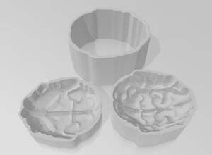 CD Brain Bath Bomb Mould