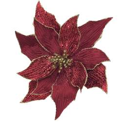 Burgundy Poinsettia