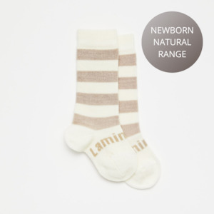 Clothing: Lamington Knee High Sock - Dandelion