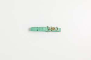 Bag Strap - Mint