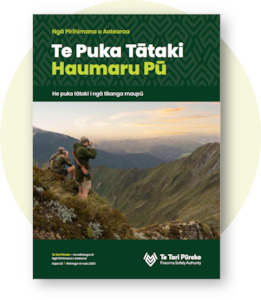 Te Puka Tataki Haumaru Pu- Firearms Safety Code