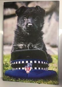 Books Literature: Police Puppy Notebook