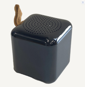 Sale: Moana Rd MINI Speaker