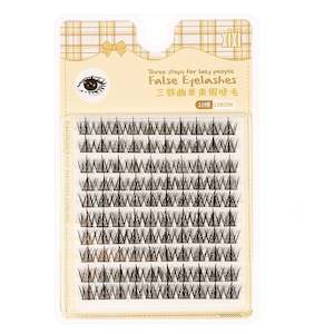 Xixi Three Steps for people False Eyelashes 10 Row