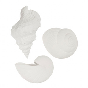 Shell Wall Vases