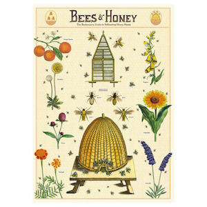 Bees & Honey 2