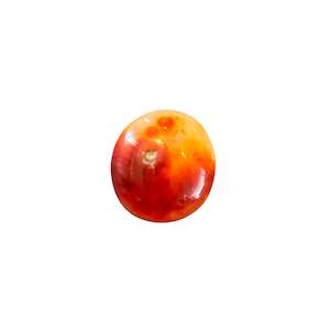 35g Carnelian Palm Stone