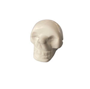 Howlite Skull