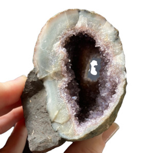 503g Amethyst Geode