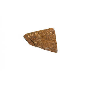 Gift: Bronzite Slice