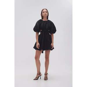 Goods and equipment rental and hiring: Black Mimosa Cut Out Mini Dress