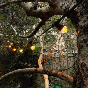 Homewares: Festoon 20m (Hire Price & Pickup Only)