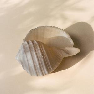 Gift: Handmade Glass Conch Shell