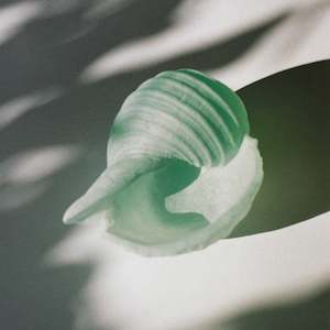 Handmade Glass Conch Shell