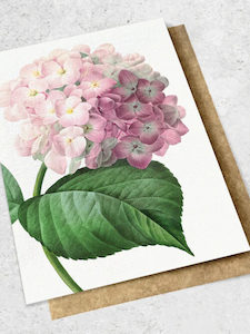 Hydrangea Pink Greeting Card