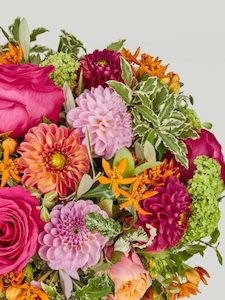 Flower: Designer’s Choice Arrangement