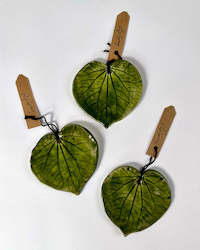 Kawakawa Leaves - Ceramic