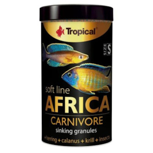 Aquarium: Tropical Soft Line Africa Carnivore