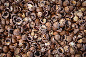 Macadamia Nut Shells