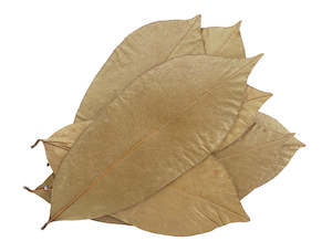 Soursop Leaves 20 Pack