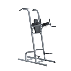 Gymnasium equipment: Body Solid Vertical Knee Raised Dip Combo