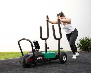 Gymnasium equipment: Xebex XT3 Sled