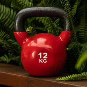 Gymnasium equipment: Vinyl Kettlebell