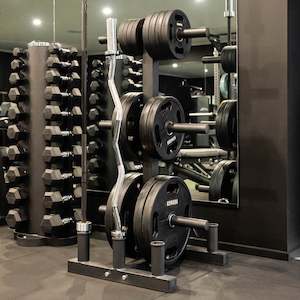 Gymnasium equipment: Olympic Bar and Weight Plate Rack