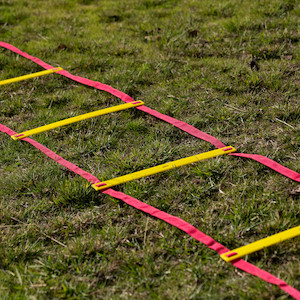 Gymnasium equipment: Agility Ladder