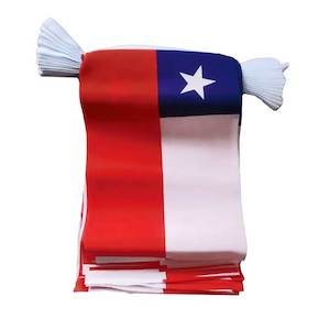 Nursery (flower, shrubs, ornamental trees): Chile - Flag Bunting