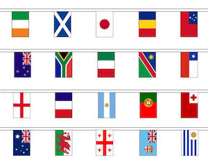 Nursery (flower, shrubs, ornamental trees): 20 Flags - Rugby Nations Flag Bunting (6m)