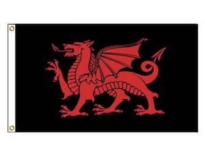 Nursery (flower, shrubs, ornamental trees): Welsh Dragon - Wales