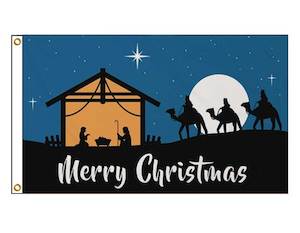 Nursery (flower, shrubs, ornamental trees): Christmas - Nativity 2