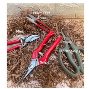 Snips and Secateurs