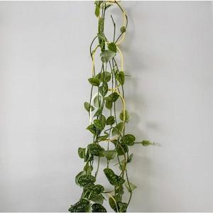 Flower: Climbing Plant Support