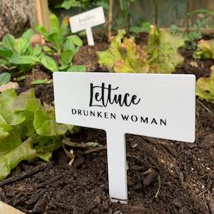 Reusable Veggie Garden Name Sign: Personalised Acrylic Garden Stakes