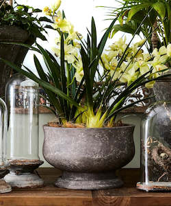 Linen - household: Stone Orchid Pot