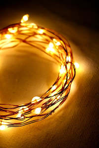 Seed Copper Wire Fairy Lights - 2m