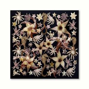 Stapelia Sea Garden  |  Print  |  by Sally Tagg