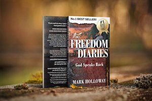 Book and other publishing (excluding printing): The Freedom Diaries