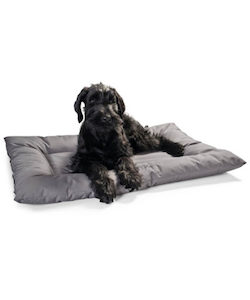 Gift: Gent Dog Bed