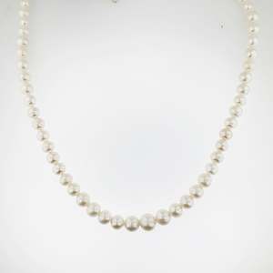 Freshwater Pearl Necklace