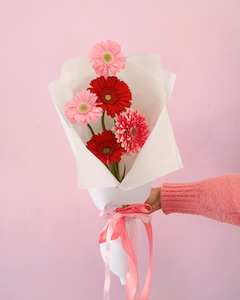 Flower: THE GERBERAS