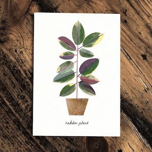 Flower: Rubber Plant- Greeting Card