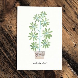 Umbrella Plant - Greeting Card